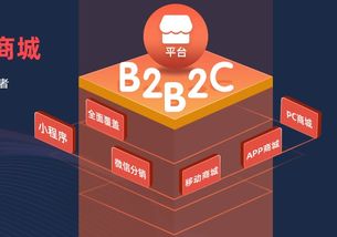 B2B2C多用户商城系统有哪些优势